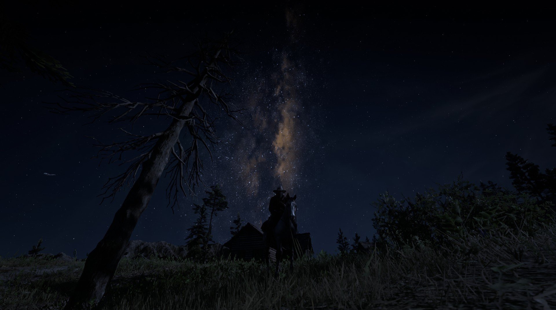 “青春永续”青少年青训行业联盟在福州挂牌成立,推进行业规范发展