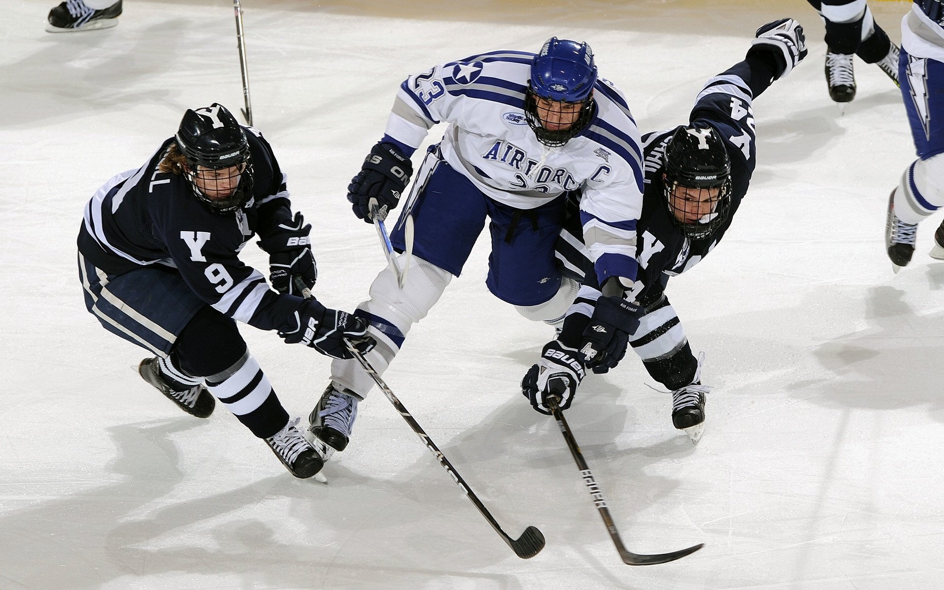 全国青少年“篮球+文化+旅游”融合产业联盟在杭州正式成立,促进产业繁荣