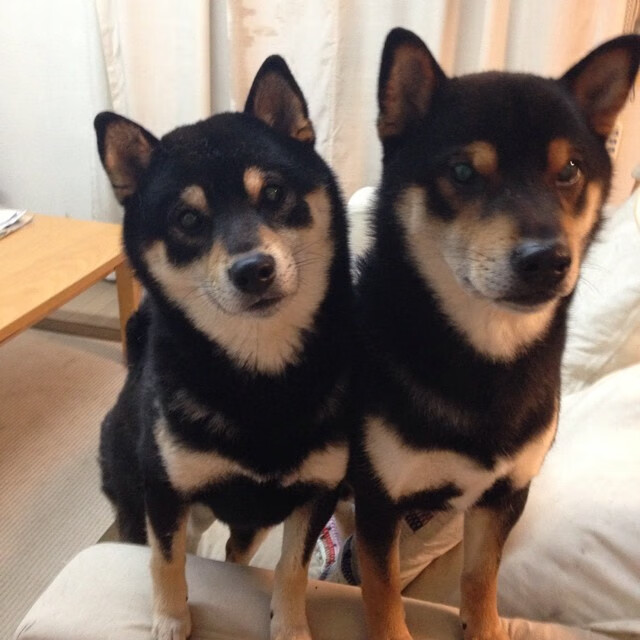 哥伦比亚女足在巴黎奥运会比赛中表现出色,赢得金牌,哥伦比亚 国足