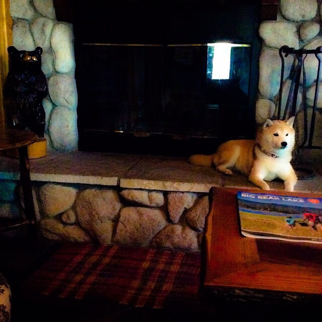 爱游戏体育APP下载-国际知名教练助力中国篮球战术体系创新，著名篮球教练