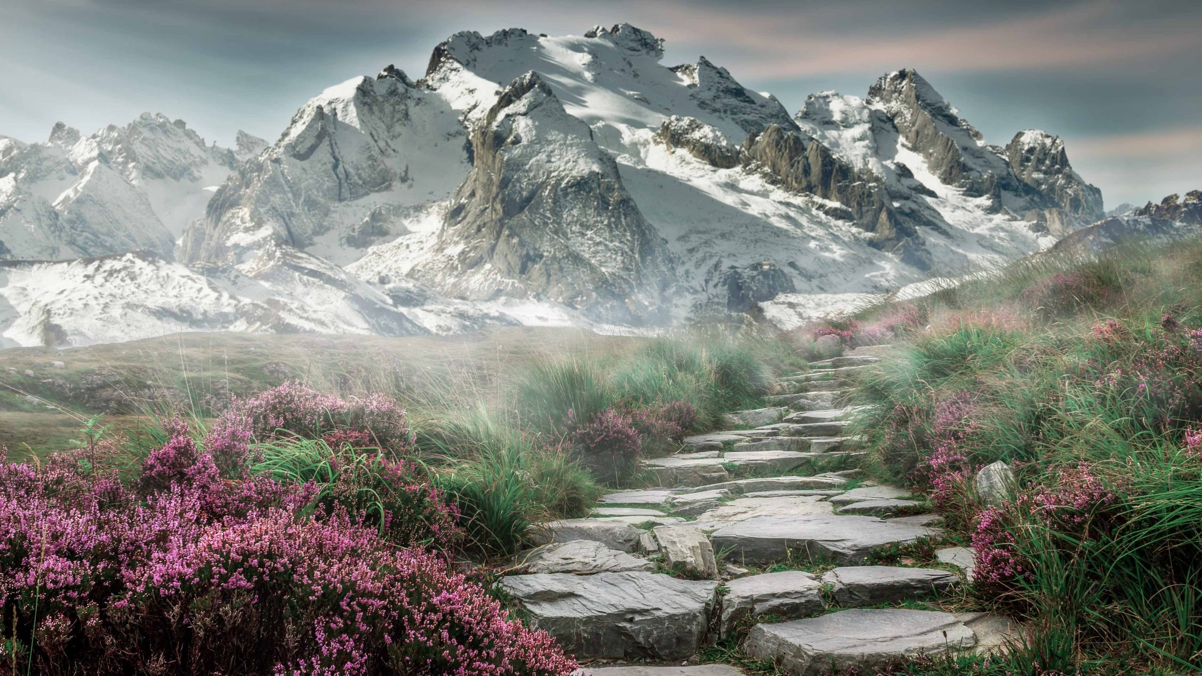 AYX GAME-央视体育直播中国篮球联赛，覆盖面持续扩大，央视体育直播中国男篮