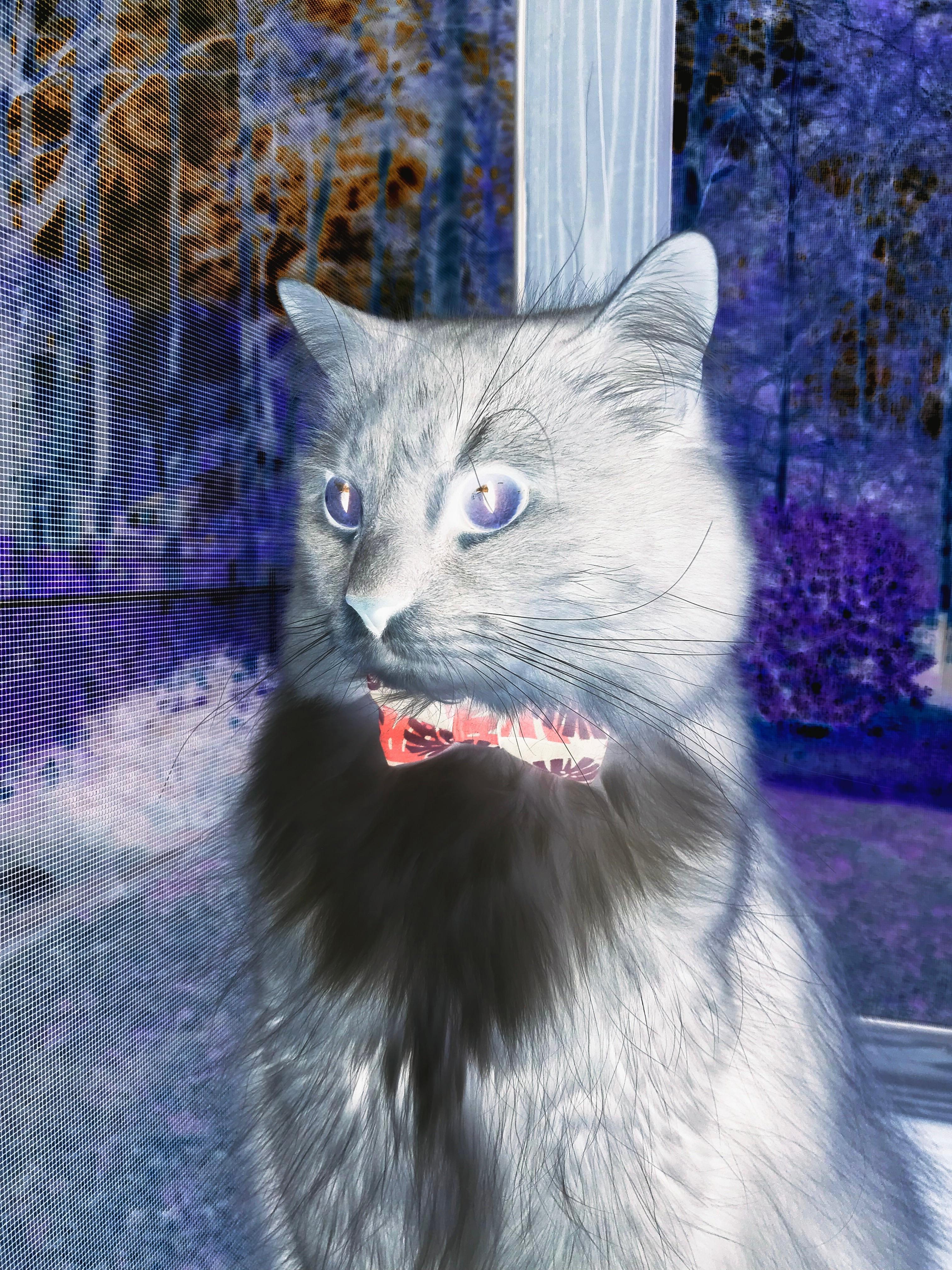 影响历史:NBA最值得铭记的季后赛片段,nba季后赛球员得分榜历史排名