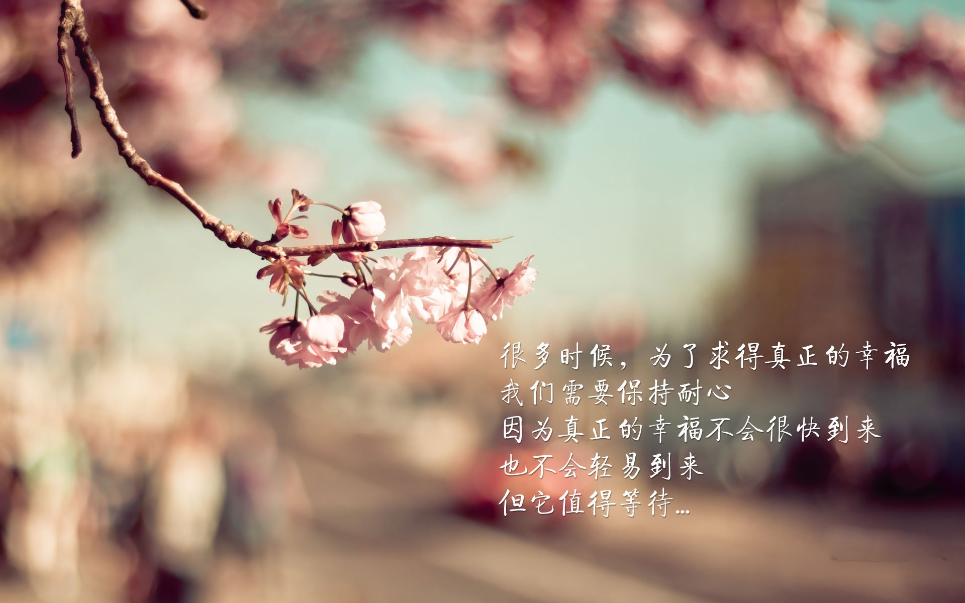 爱游戏app下载-明星对决：张伟爆砍30+，场上表现抢眼！，明星看张伟丽比赛