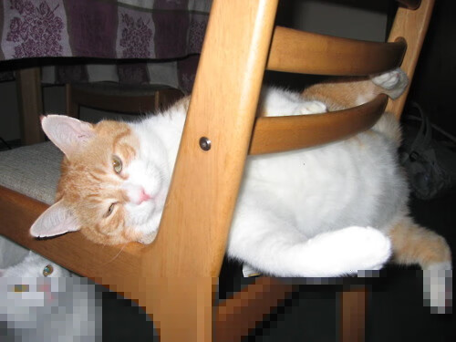 未来战略:联盟数字化、国际化、多元化三大发展路径,数字化转型战略的过程联动机制