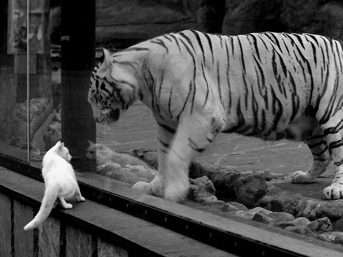 爱游戏-法甲豪门采取“高压+边路宽度”战术，打乱对手组织