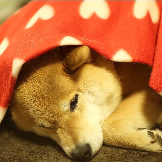 AYX体育官网-足球教学直播课覆盖全国六千所学校，足球课程视频