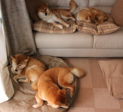 爱游戏官方-逆转之夜：英超切尔西险胜对手，队员表现抢眼，英超的切尔西