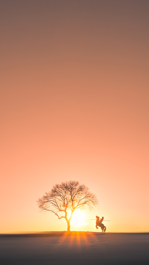 爱游戏app-KPL裁判团队完成国际执裁资格认证，国际裁判协会