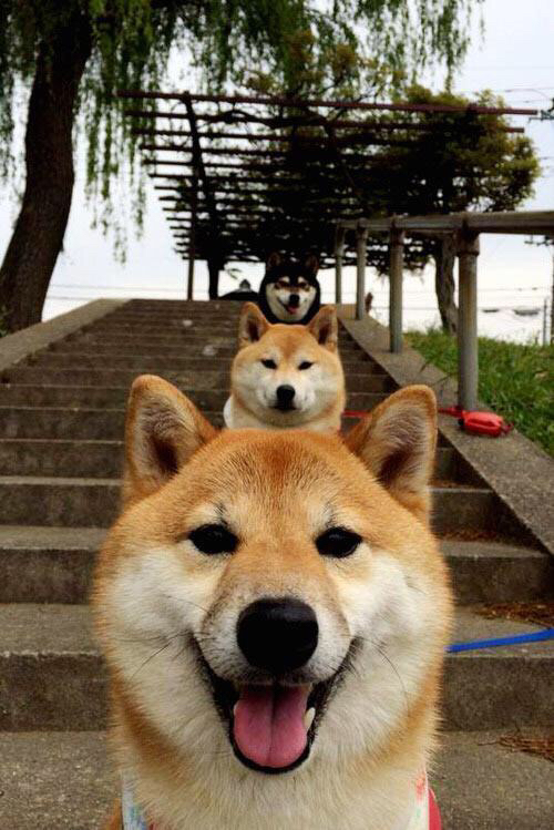 上港阵容曝光,主教练布局独特备战全力,上海上港队教练是谁