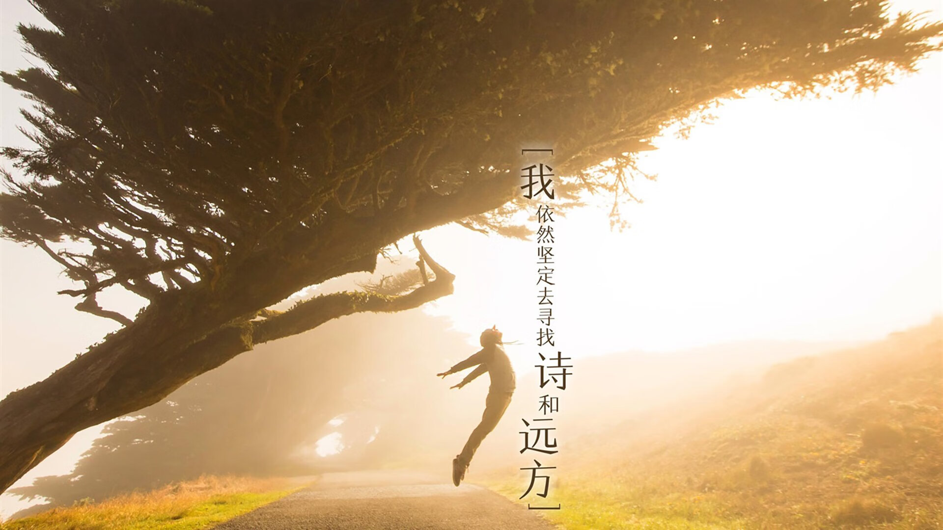 中国足球俱乐部青训投资力度加大,中国足球青训俱乐部排名