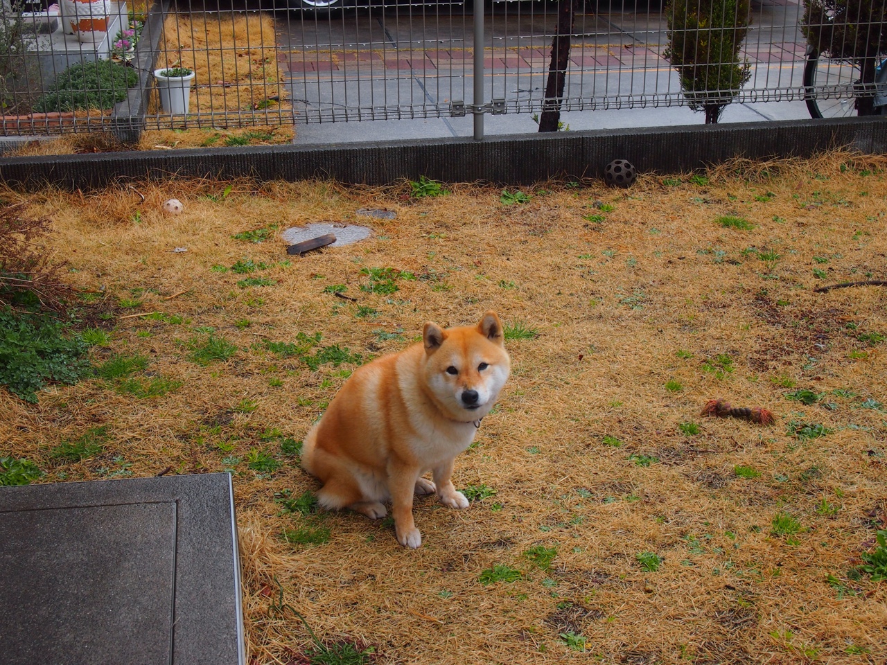 亚眠在热身赛中积累经验,备战下一轮,亚眠是哪个国家的