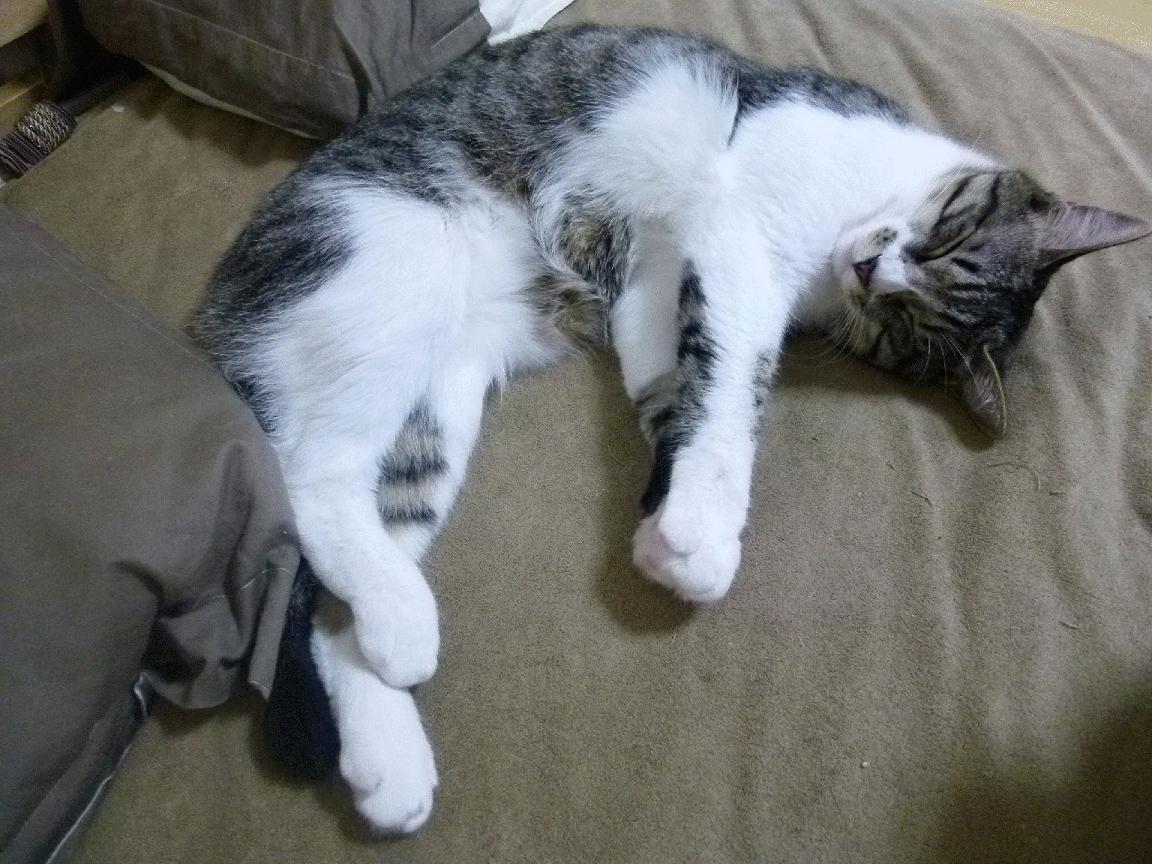 AYX官网-国际运动更新：女子比赛中的惊险一幕！，国外女子比赛