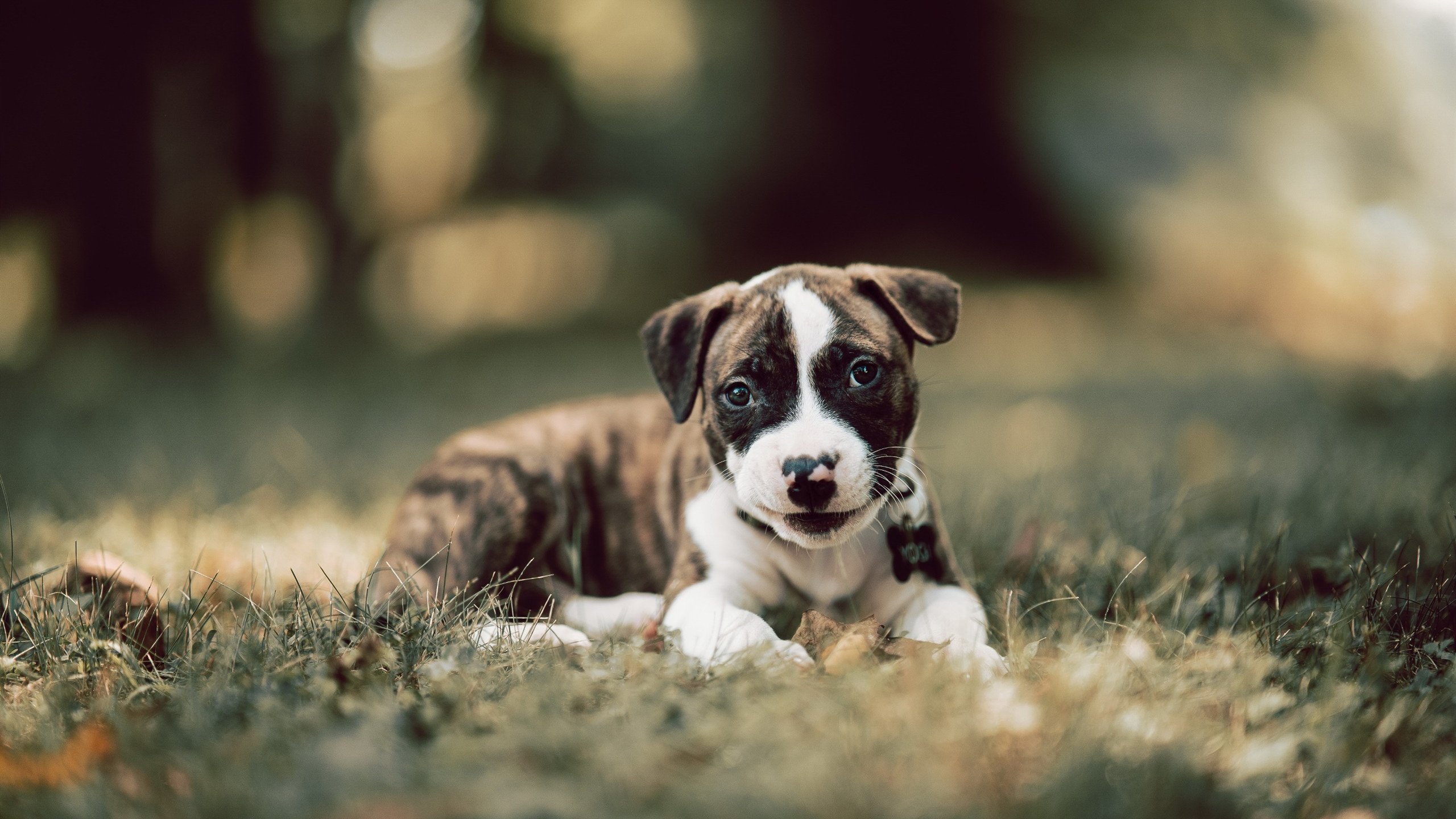 爱游戏电竞官网-悉尼国王体能储备充足，悉尼国王学院