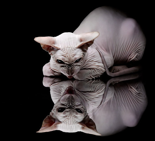 爱游戏官方-河南建业队在主场作战，期待赢得胜利，河南建业2021年新主场