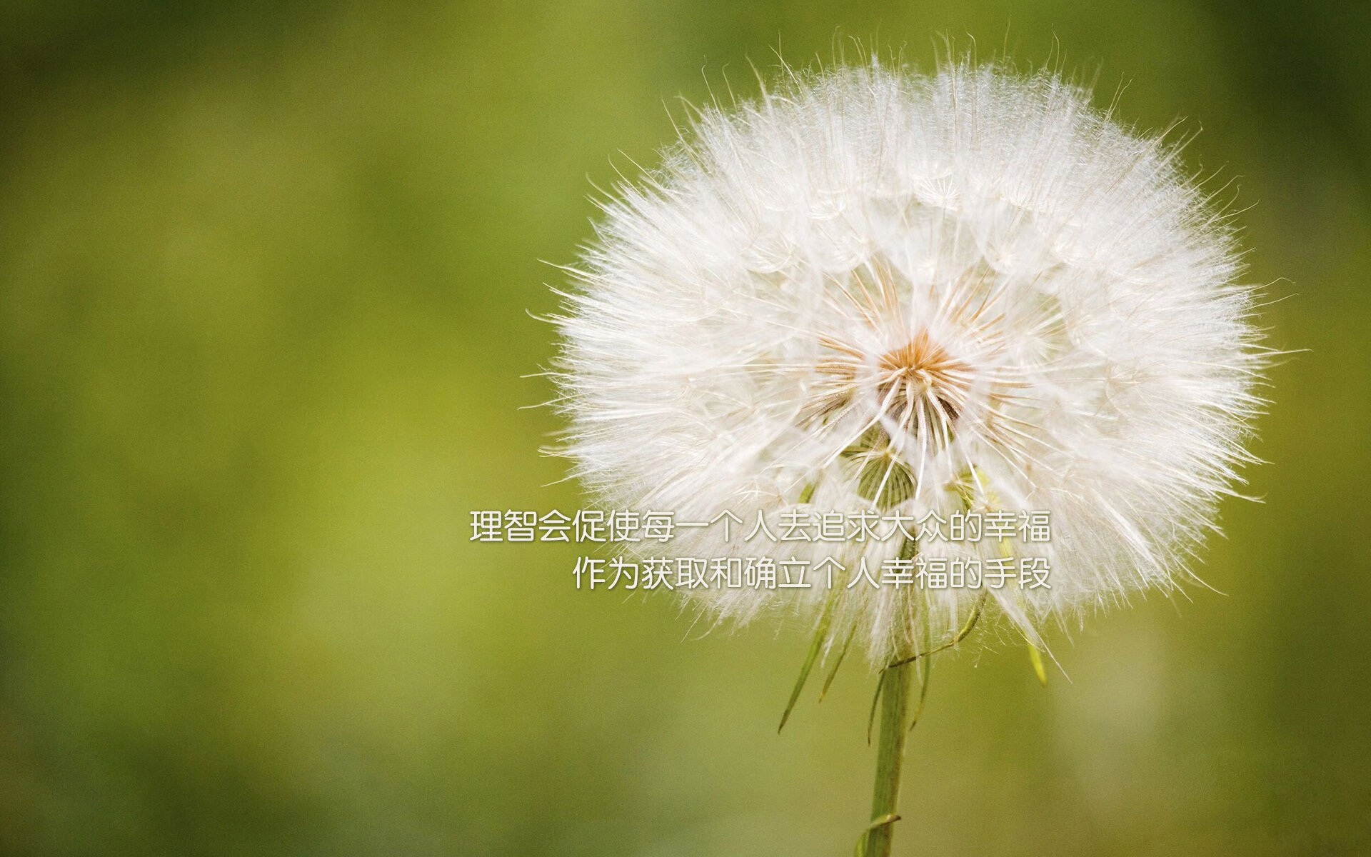 湖人状态爆棚詹眉联手发力