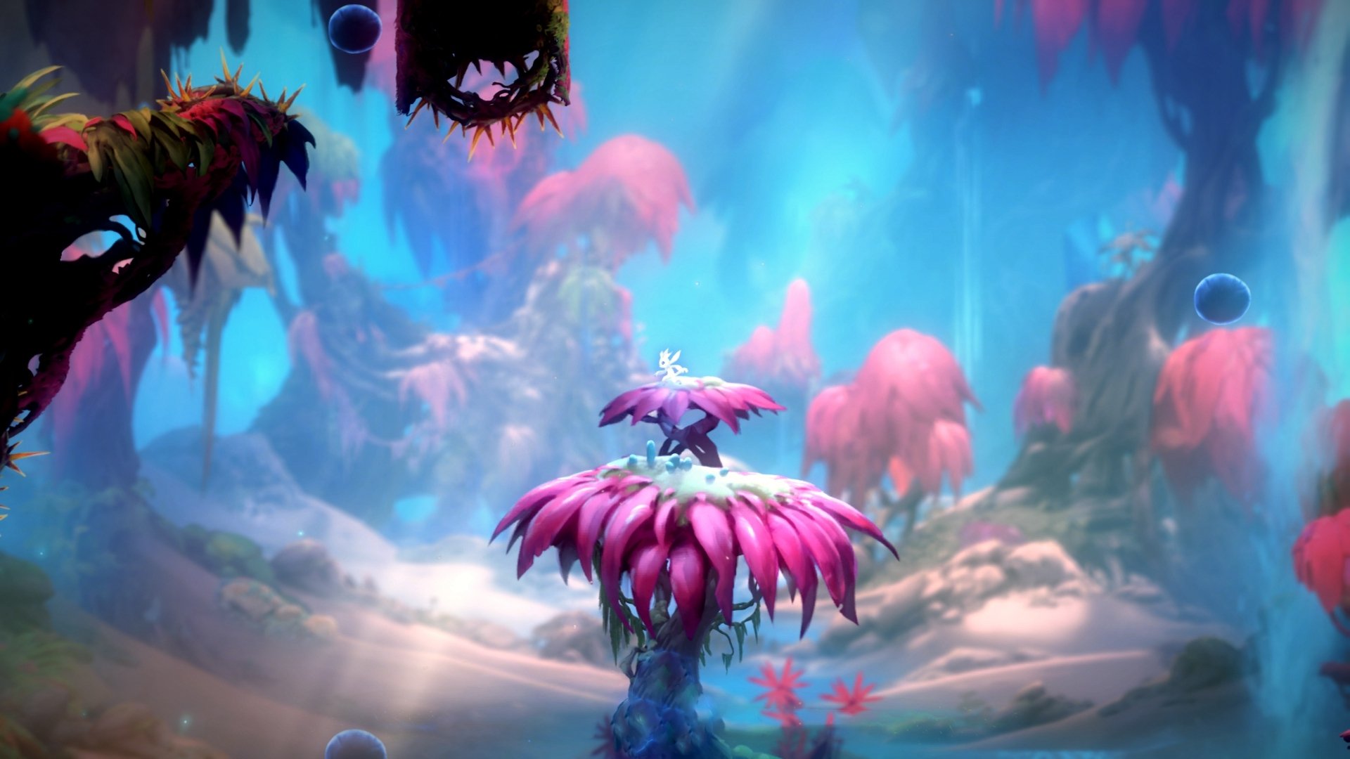 纷争不断,扣人心弦的欧洲足球盛宴,播放一下欧洲足球