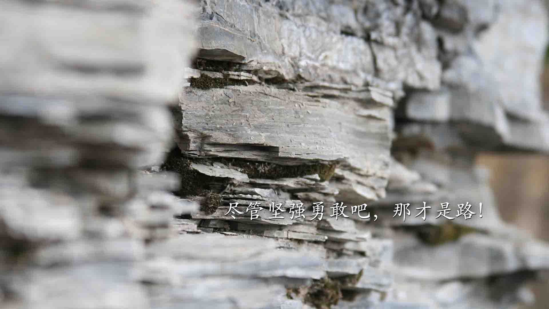 爱游戏登录入口-英格兰队在欧洲杯期间防守稳固，失球数最少，英格兰队在欧洲杯上取得的最好成绩