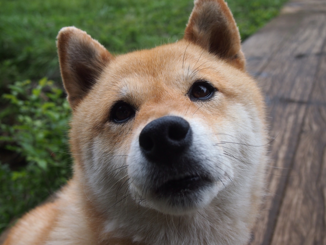 爱游戏电竞官网-足球巨星云集，一战成名谁能胜出？，足球第一巨星