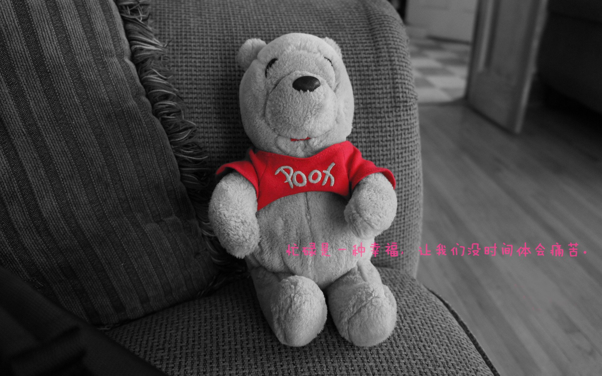 爱游戏平台-全国青少年马术公开赛在上海举办，2021上海市青少年马术公开赛