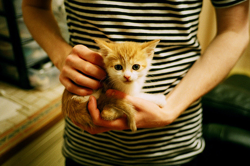 弗赖堡锋线冲击力增强打出关键突破,弗赖堡前锋