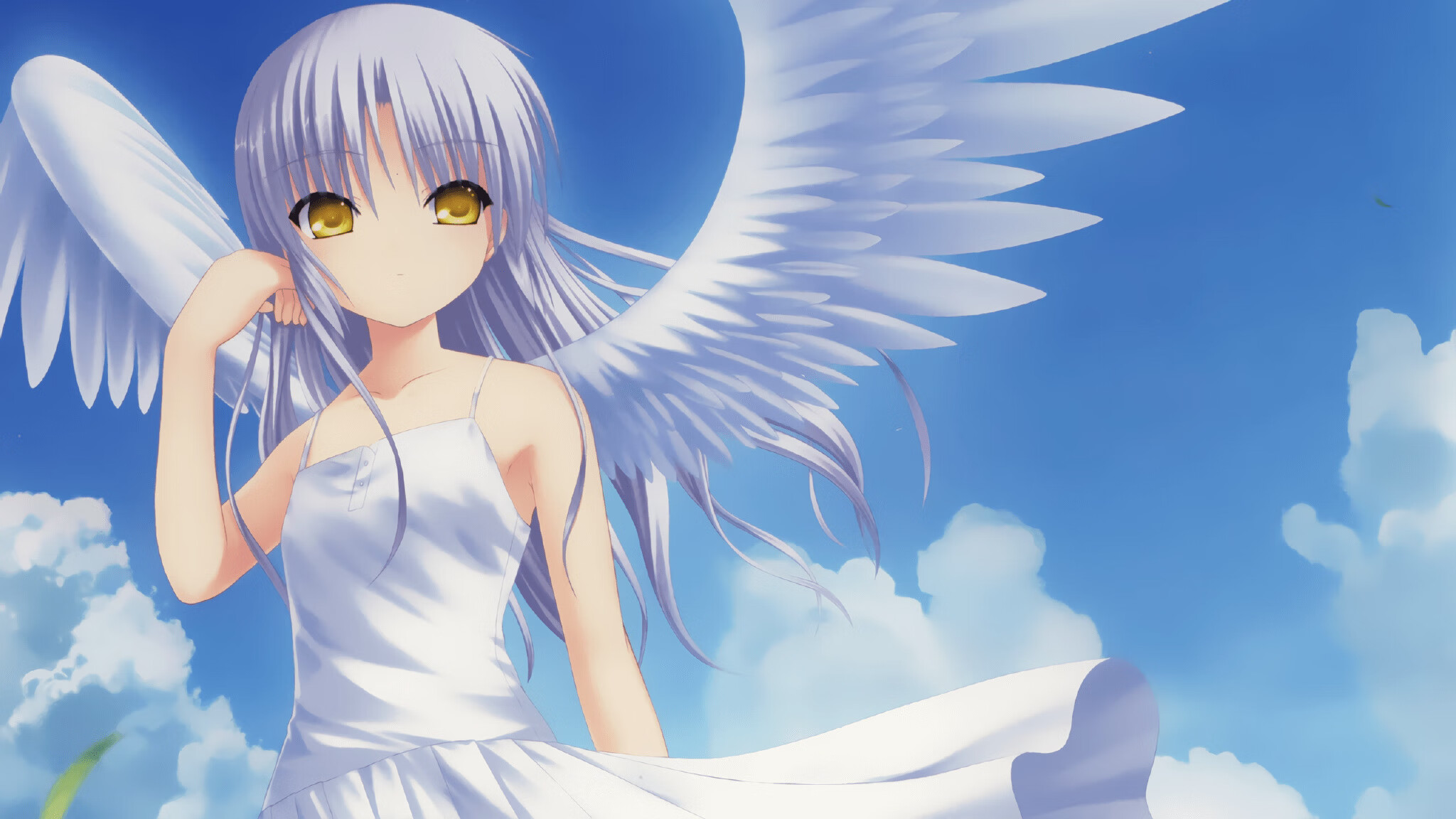 美洲杯星光璀璨:明星演绎足球盛宴!,美洲杯巨星