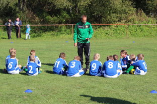 爱游戏体育入口-中国篮球教练员战术执行能力评估体系,中国篮球教练员培训等级