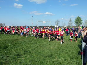 爱游戏app-青少年体育活动参与动力分析，青少年的体育活动